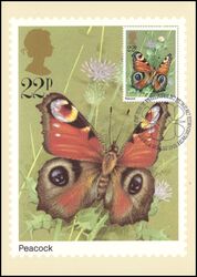 1981  Schmetterlinge
