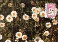 1988  Blumen - Maximumkarten