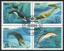 1990  Meeressugetiere
