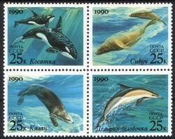 1990  Meeressugetiere