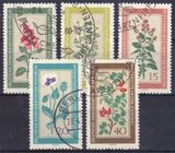 1960  Einheimische Heilpflanzen