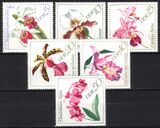 1968  Orchideen