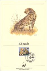 1984  Official Proof Edition WWF - Gepard (014)