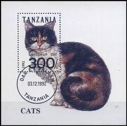 Tansania 1992  Europische Katze