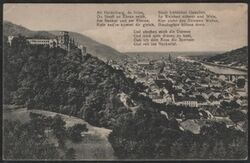 Heidelberg von der Terrasse