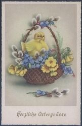Herzliche Ostergre - Kcken im Blumenkorb