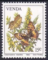 Venda 1980  Schmetterlinge