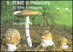 St. Tome & Prinzen 1992  Pilze