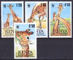 Kenia 1989  Weltweiter Naturschutz WWF: Netzgiraffe
