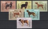 1981  50 Jahre Verein fr Hundezucht