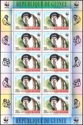 Guinea 2000  Weltweiter Naturschutz WWF: Affen