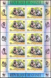 Guinea 2000  Weltweiter Naturschutz WWF: Affen