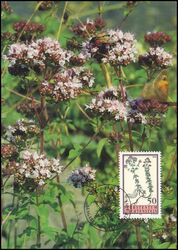 1993  119 - Pflanzen
