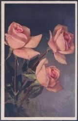 Blumenmotiv - Rosen