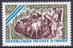 Elfenbeinkste 1966  Bekmpfung der Rinderpest