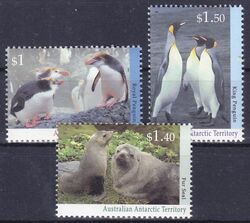 Australische Antarktis 1993  Tiere der Antarktis