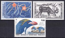 Franz. Antarktis 1987  Tiere der Antarktis