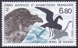 Franz. Antarktis 1988  Tiere der Antarktis