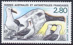 Franz. Antarktis 1990  Tiere der Antarktis