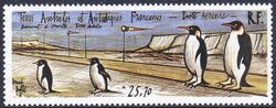 Franz. Antarktis 1992  Fertigstellung des Flugplatzes