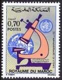 Marokko 1973  25 Jahre Weltgesundheitsorganisation (WHO)