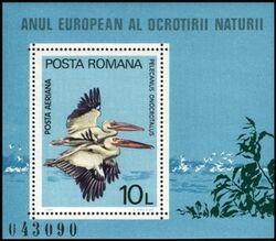 1980  Europisches Naturschutzjahr:  Rosapelikan