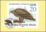 1982  Maximumkarte - Seeadler