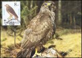 1983  Weltweiter Naturschutz WWF - Greifvögel (003)
