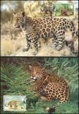 1983  Weltweiter Naturschutz WWF - Jaguar (007)