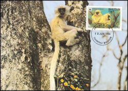 1984  Weltweiter Naturschutz WWF - Goldlangur (012)