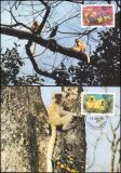 1984  Weltweiter Naturschutz WWF - Goldlangur (012)