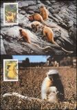 1984  Weltweiter Naturschutz WWF - Goldlangur (012)
