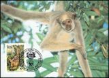 1984  Weltweiter Naturschutz WWF - Spinnenaffe (013)