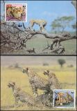 1984  Weltweiter Naturschutz WWF - Gepard (014)