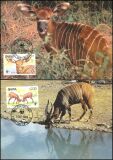 1984  Weltweiter Naturschutz WWF - Bongo (015)