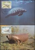 1984  Weltweiter Naturschutz WWF - Afrikanischer Manati...