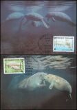 1984  Weltweiter Naturschutz WWF - Afrikanischer Manati (017)