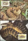1984  Weltweiter Naturschutz WWF - Jamaika Schlankboa (019)