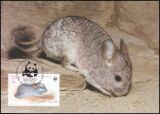 1984  Weltweiter Naturschutz WWF - Bedrohte Tierarten (020)