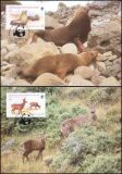 1984  Weltweiter Naturschutz WWF - Bedrohte Tierarten (020)