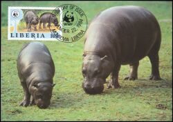 1984  Weltweiter Naturschutz WWF - Zwergflusspferd (021)