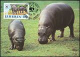 1984  Weltweiter Naturschutz WWF - Zwergflusspferd (021)