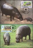 1984  Weltweiter Naturschutz WWF - Zwergflusspferd (021)