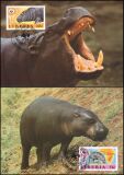 1984  Weltweiter Naturschutz WWF - Zwergflusspferd (021)