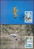 1984  Weltweiter Naturschutz WWF - Krauskopfpelikan (022)