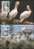 1984  Weltweiter Naturschutz WWF - Krauskopfpelikan (022)
