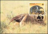 1985  Weltweiter Naturschutz WWF - Ameisenbär u....