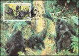 1985  Weltweiter Naturschutz WWF - Berggorilla (024)