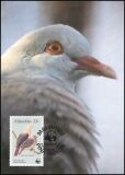 1985  Weltweiter Naturschutz WWF - Mauritius-Taube (029)