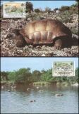 1985  Weltweiter Naturschutz WWF - Riesenschildkröte...